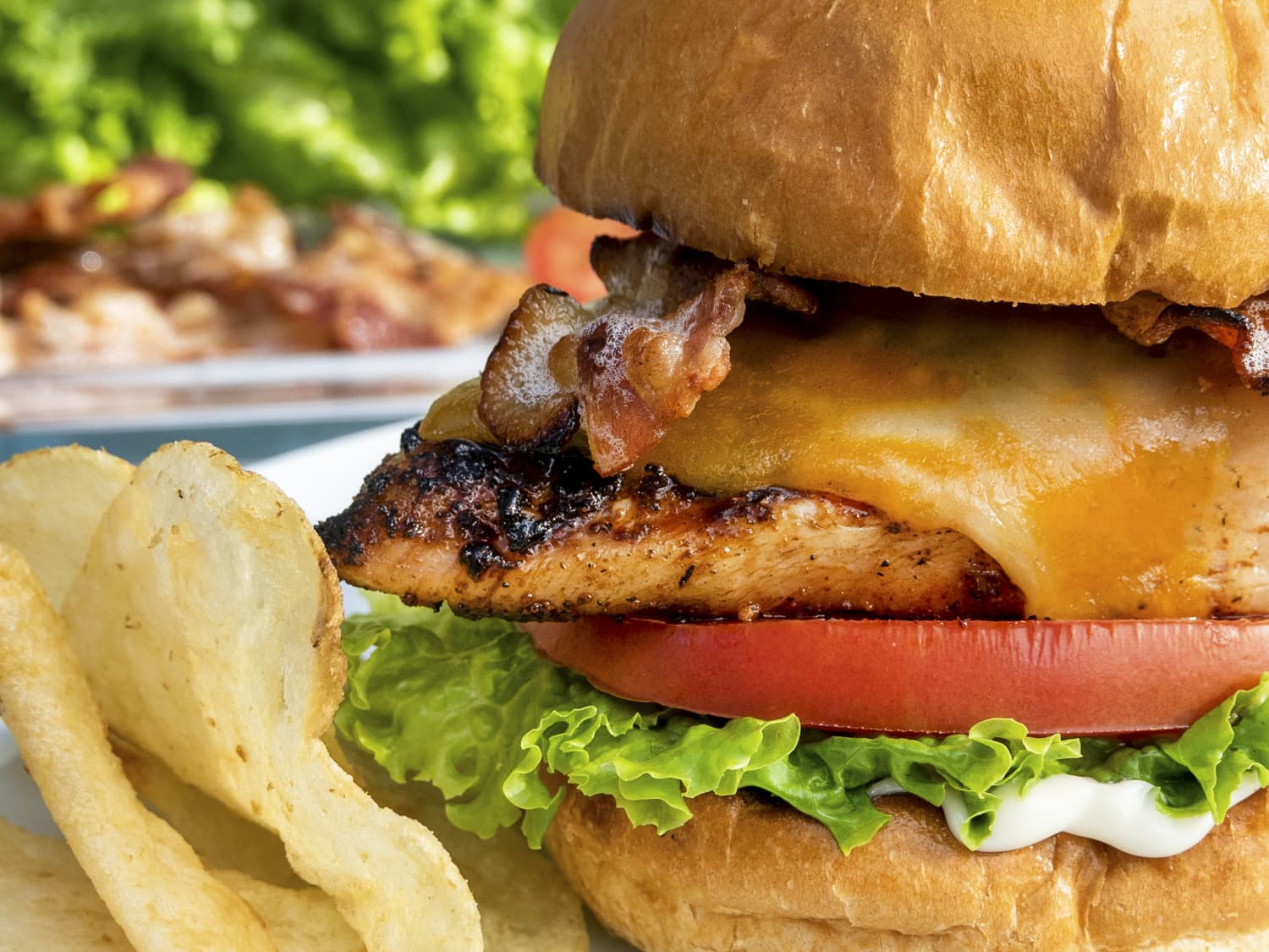 Grilled Chicken Sandwich